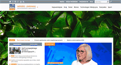 Desktop Screenshot of dbpolska.zafriko.pl