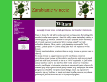 Tablet Screenshot of cash.zafriko.pl