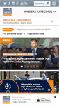 Mobile Screenshot of ogrodzeniadrewniane.zafriko.pl